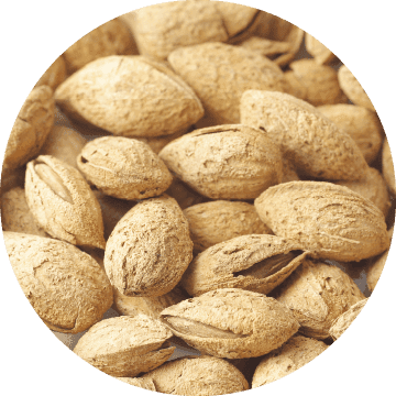 殻付きアーモンド