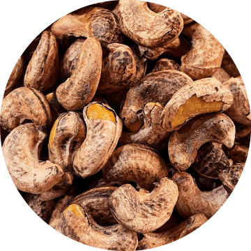 皮つきカシューナッツ